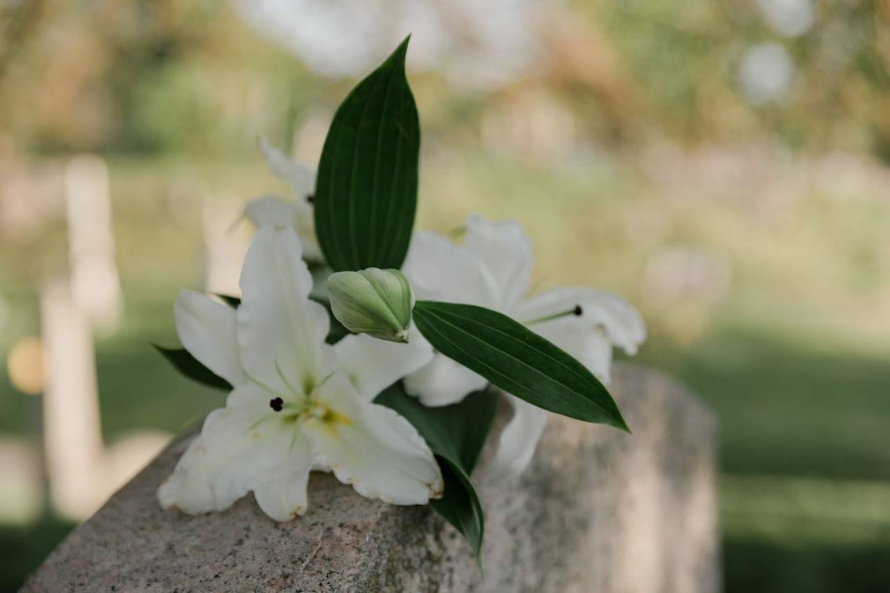 White lilies laid in remembrance